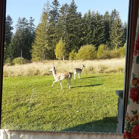 Noclegi domek Dom wakacyjny *