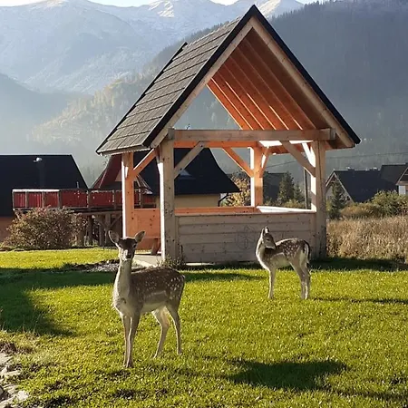 Dom wakacyjny Noclegi domek *