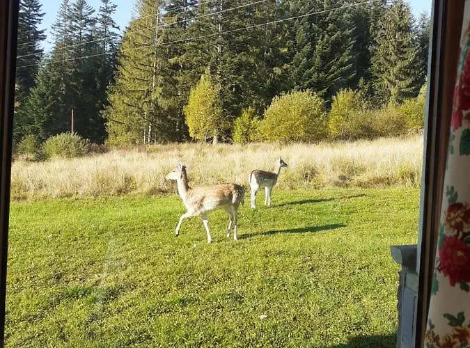 Noclegi Domek Semesterbostad *